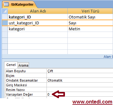 Asp.Net'te Sınırsız Menü ve Alt Menü Örneği 1