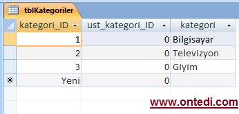 Asp.Net'te Sınırsız Menü ve Alt Menü Örneği 1