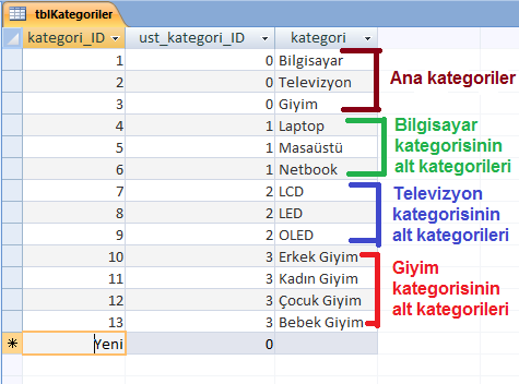 Asp.Net'te Sınırsız Menü ve Alt Menü Örneği 1