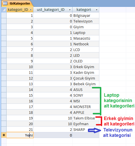 Asp.Net'te Sınırsız Menü ve Alt Menü Örneği 1