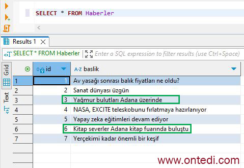 SQL'de REPLACE Fonksiyonu